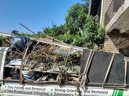  Cartersville, GA Junk Removal Services Pros